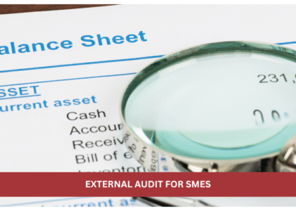 TSCO auditors conducting external audit for SME financial statements in Pakistan