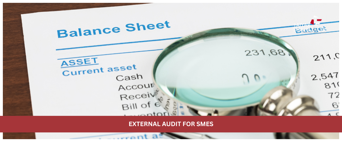 TSCO auditors conducting external audit for SME financial statements in Pakistan