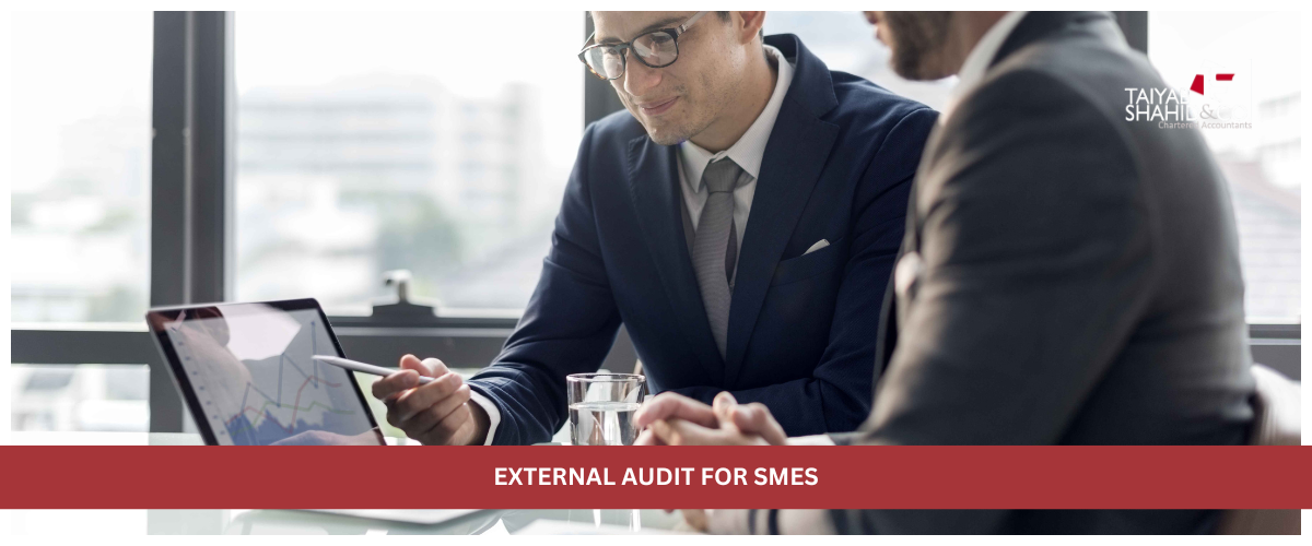 virtual CFO services Pakistan - TSCO virtual CFO managing business financial planning and strategy remotely in Pakistan