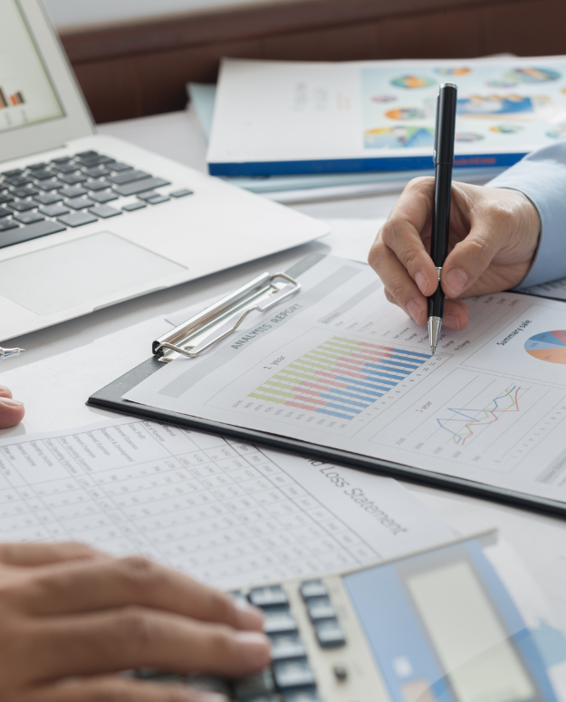 Chartered accountant using accounting software