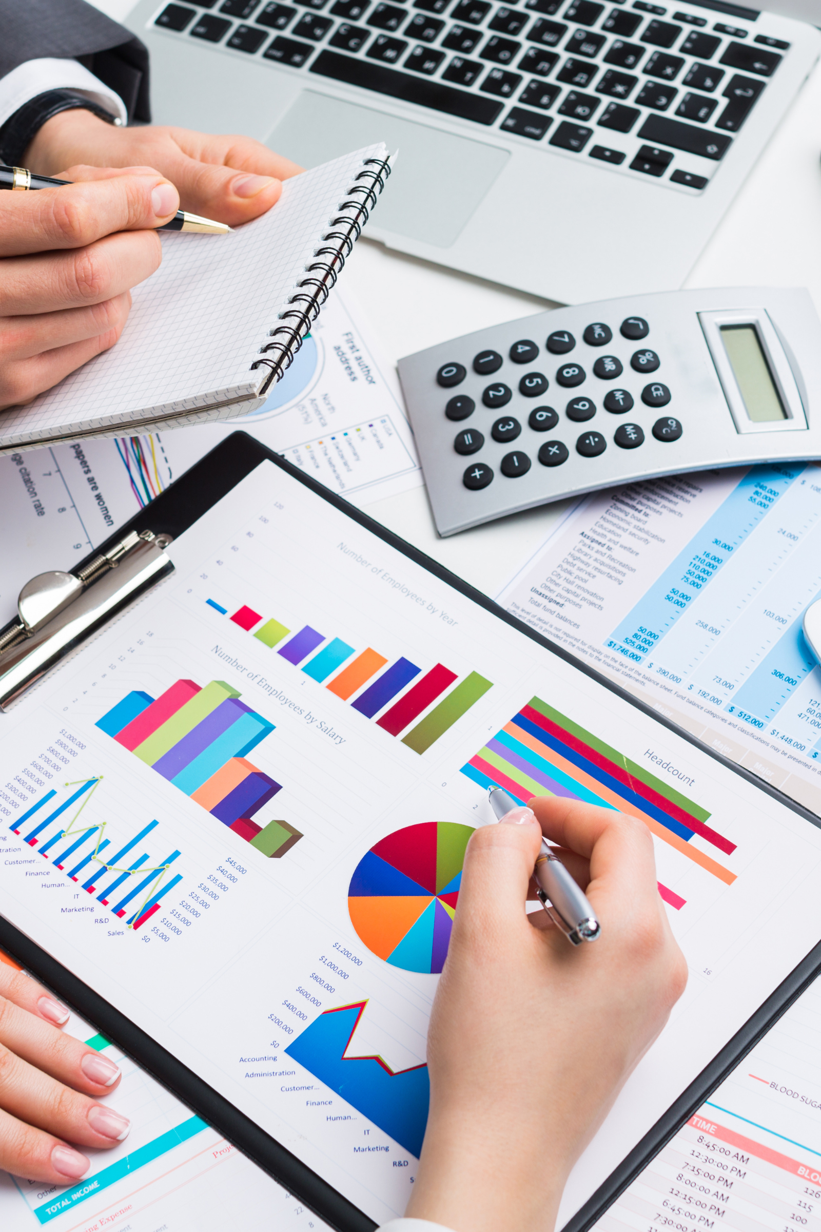 Accounting & Bookkeeping reports